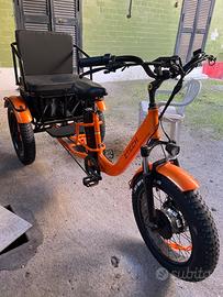 Bici elettrica triciclo per adulti