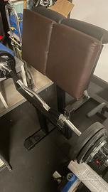 Panca Scott Palestra Panatta