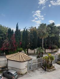 Pressi viale michelangelo pentavani con posto auto