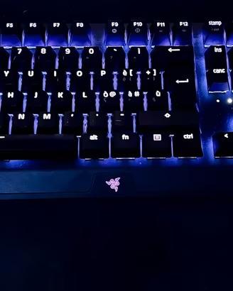 Razer blackwidow x chroma