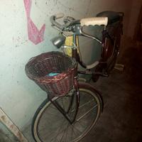 bici donna 