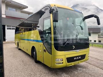 Man Lion's Coach