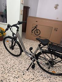 Bicicletta elettrica