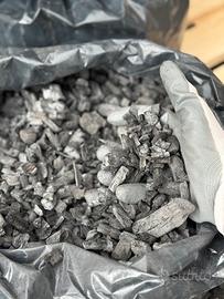 Carbonella e carbone di legno