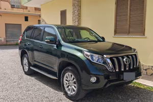 Land cruiser 150 style