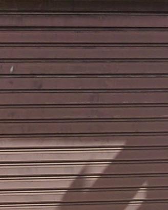 X2 Saracinesche zincate per garage.