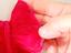 Immagine 6