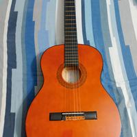 chitarra eko