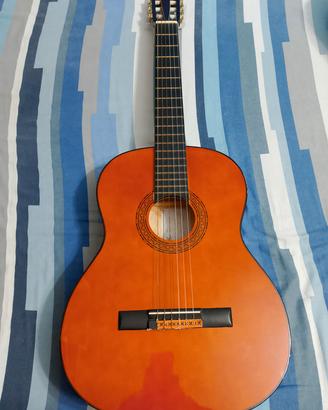 chitarra eko