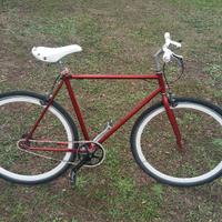 Bicicletta da uomo