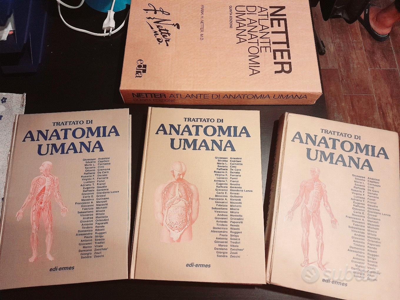 Atlante di anatomia umana (libro - Libri e Riviste In vendita a