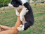 Immagine 16