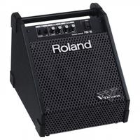 Amplificatore Roland PM 10