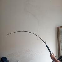 canna Olympus supreme 8lb