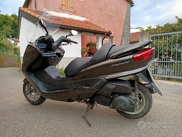 majesty 250 