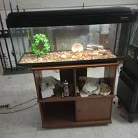 acquario 