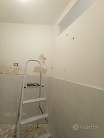 Imbianchino, muratore, indoratore