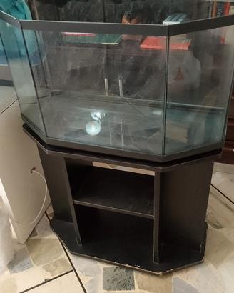 Acquario con mobiletto 