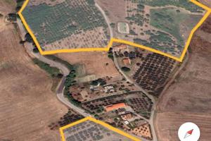 Terreno agricolo con utenze