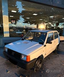 Fiat Panda 900 i.e. cat Young