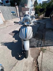 beverly 500