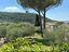 Immagine 9