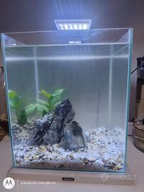 Acquario da allestire 