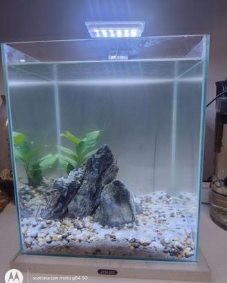 Acquario da allestire 