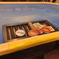 Tavolo Poker Professionale 9 posti + dealer