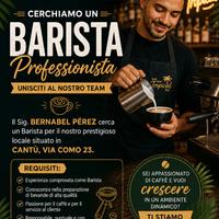 Barista