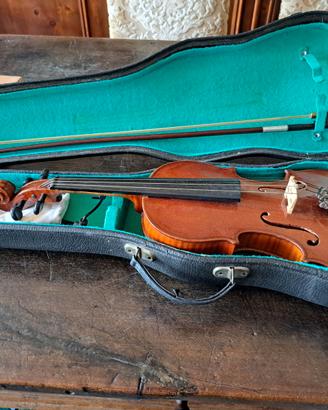Violino