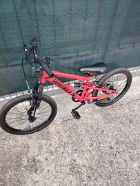 Mountain bike 