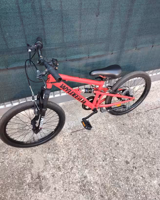 Mountain bike 