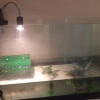 Acquario 