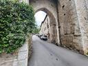 cantina-gubbio-csfalcucci45vrg-