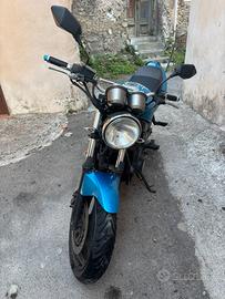 Suzuki GS 500 (2003) – Guidabile con Patente A2