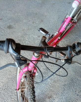 bici con cambio Shimano femminile 