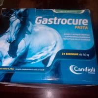 Gastrocure pasta orale cavalli