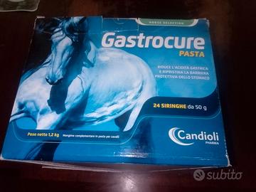 Gastrocure pasta orale cavalli