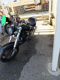 Ducati monster