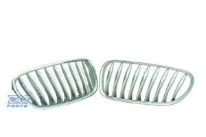 GRIGLIA BMW SERIE Z Z4 E85 03-09 CROMATA