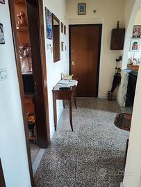 Appartamento luminoso difronte polifunzionale