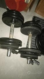 coppia manubri palestra 14 kg tot 28 kg