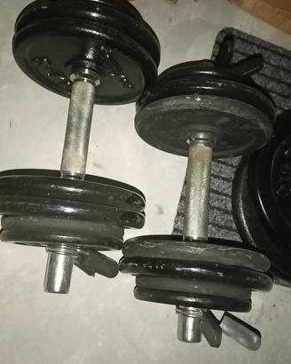 coppia manubri palestra 14 kg tot 28 kg