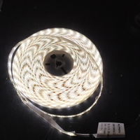 Striscia led