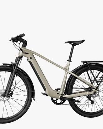 Fiido Nomads Ebike