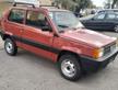 Fiat Panda 1100 i.e. cat 4x4 Trekking