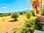 Immagine 10