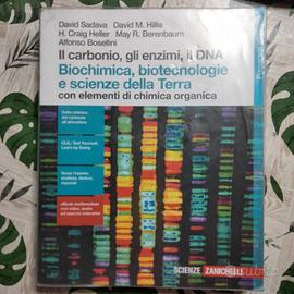 il carbonio, gli enzimi, il DNA 