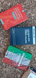 Vocabolari e dizionario